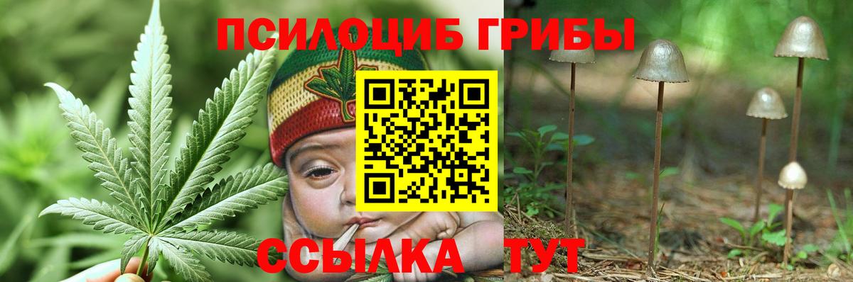 Псилоцибиновые грибы прущие грибы  Вход с VPN  Скопин 
